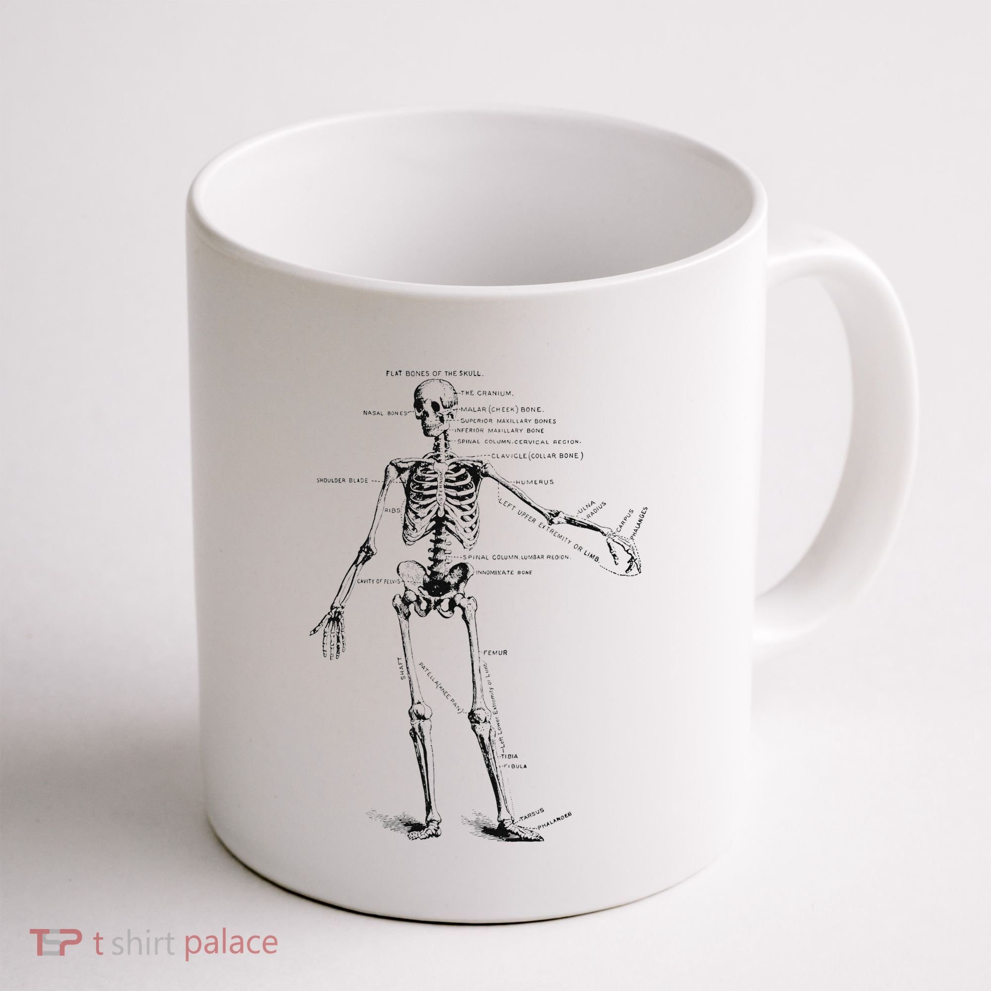 Human Skeleton Anatomy Drawing Diagram Coffee Mug