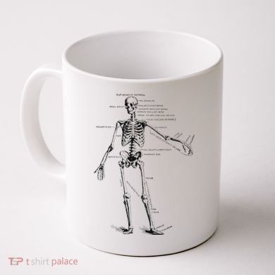 Human Skeleton Anatomy Drawing Diagram Coffee Mug