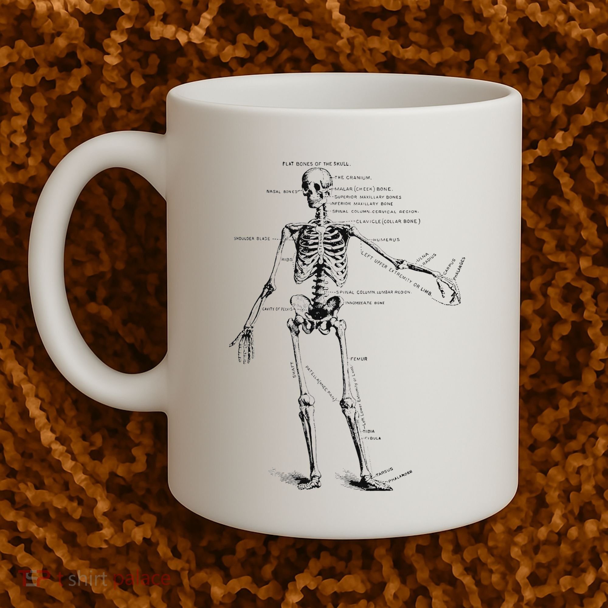 Human Skeleton Anatomy Drawing Diagram Coffee Mug
