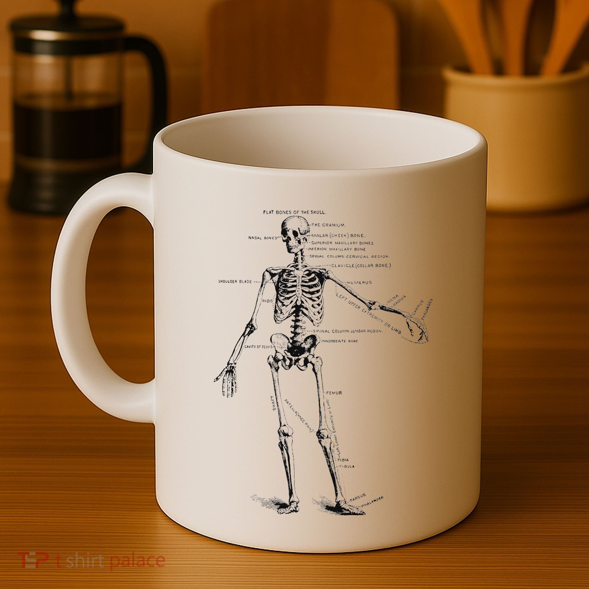 Human Skeleton Anatomy Drawing Diagram Coffee Mug