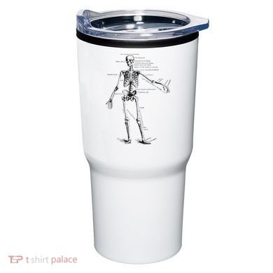 Human Skeleton Anatomy Drawing Diagram Tumbler