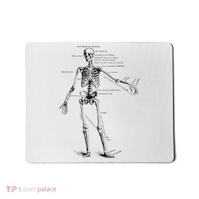 Human Skeleton Anatomy Drawing Diagram Mousepad