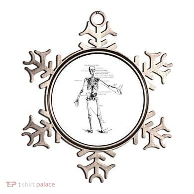 Human Skeleton Anatomy Drawing Diagram Ornament