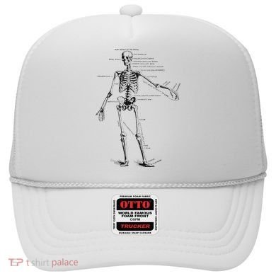 Human Skeleton Anatomy Drawing Diagram Hat