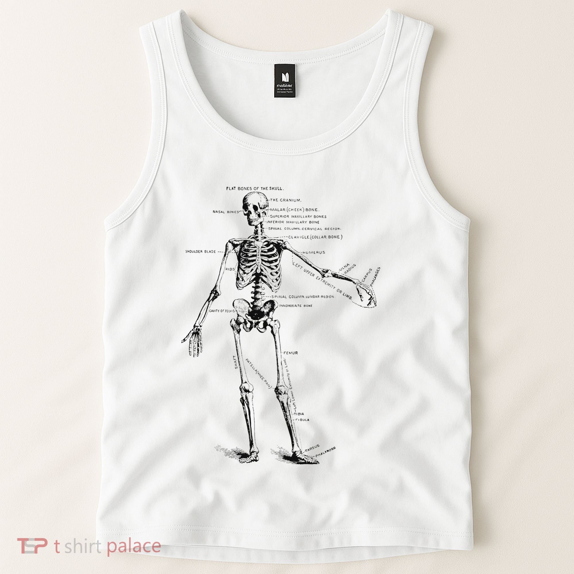 Human Skeleton Anatomy Drawing Diagram Tank Top