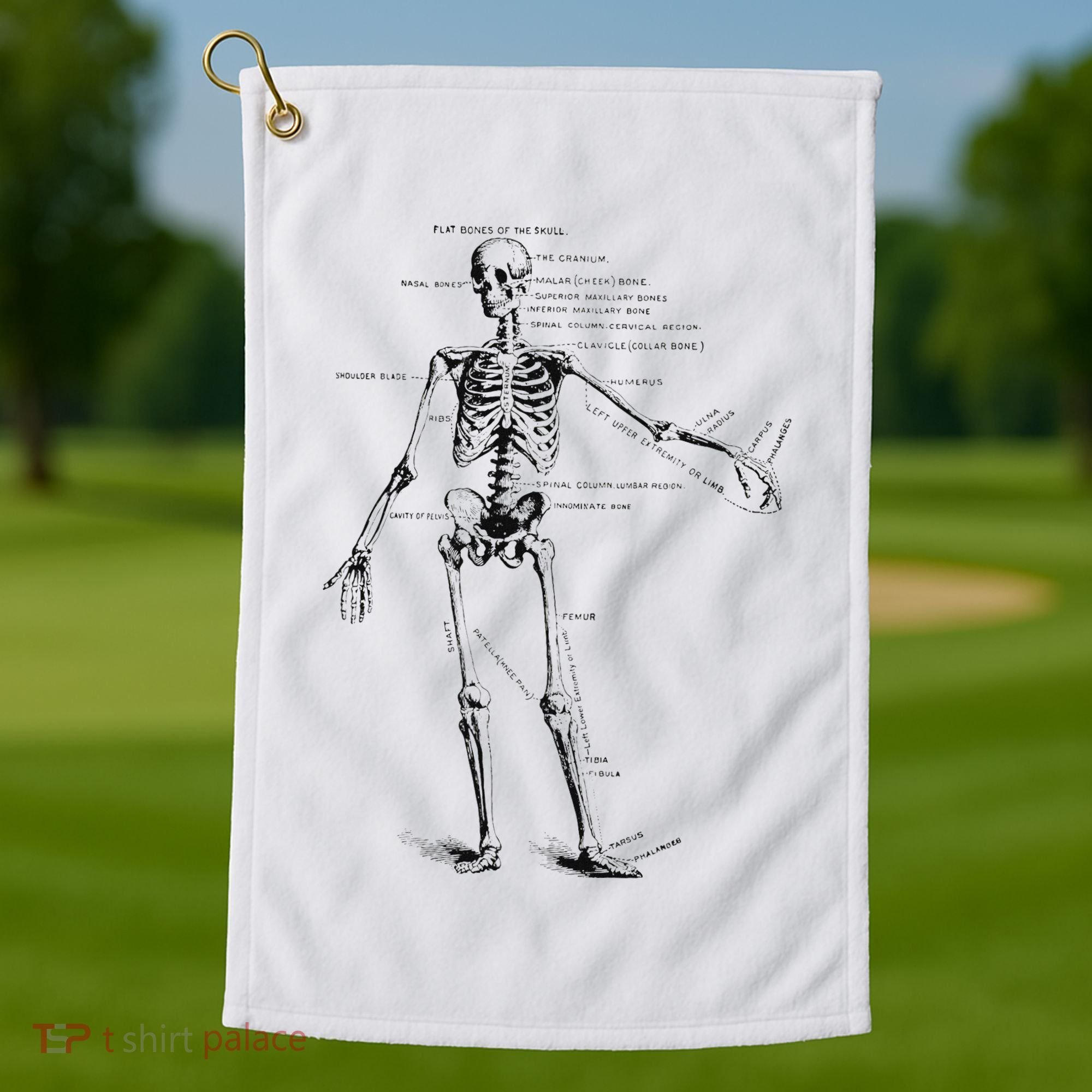 Human Skeleton Anatomy Drawing Diagram Golf Towel