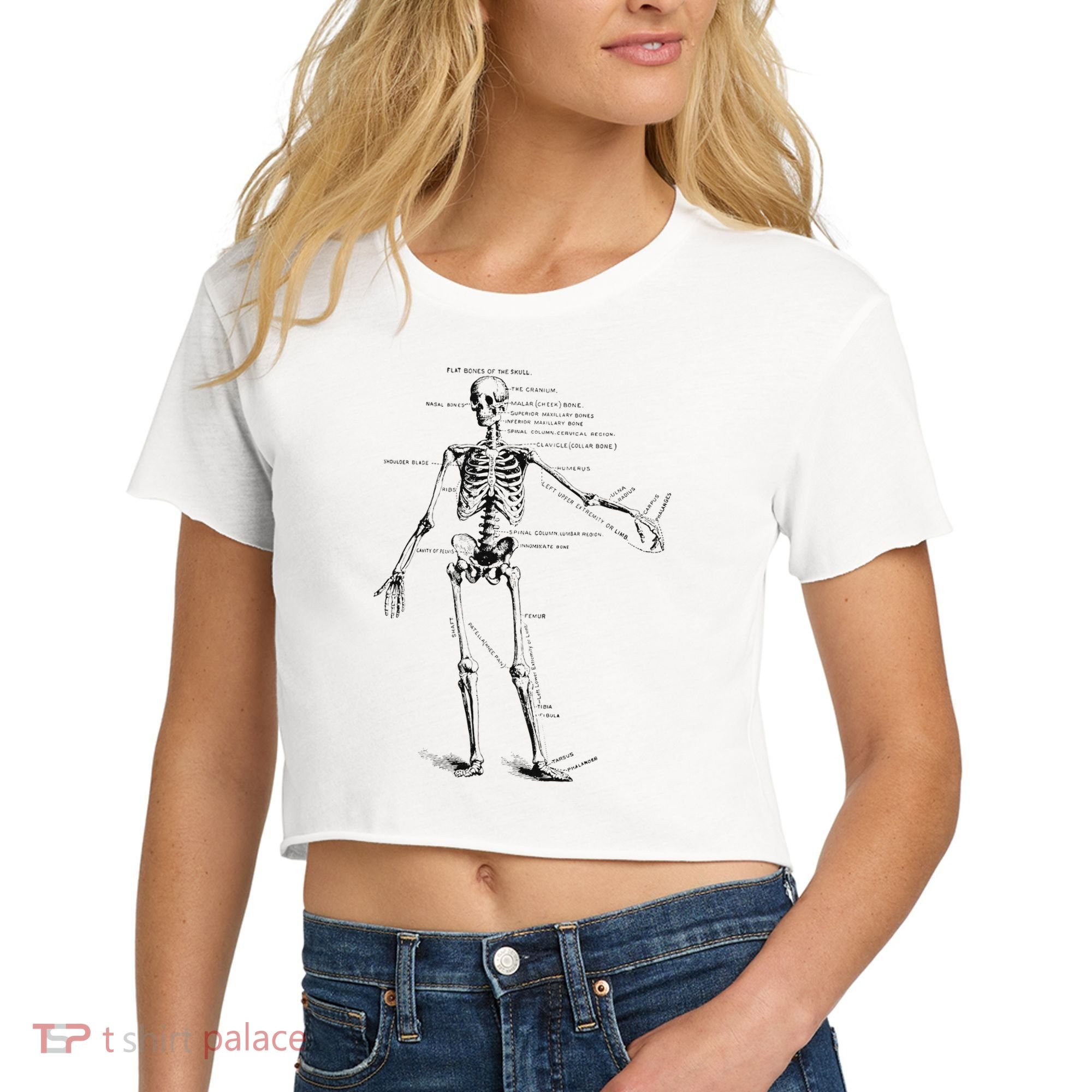 Human Skeleton Anatomy Drawing Diagram Women's Crop Top Tee