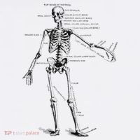 Human Skeleton Anatomy Drawing Diagram Cropped Pullover Crew thumb 4