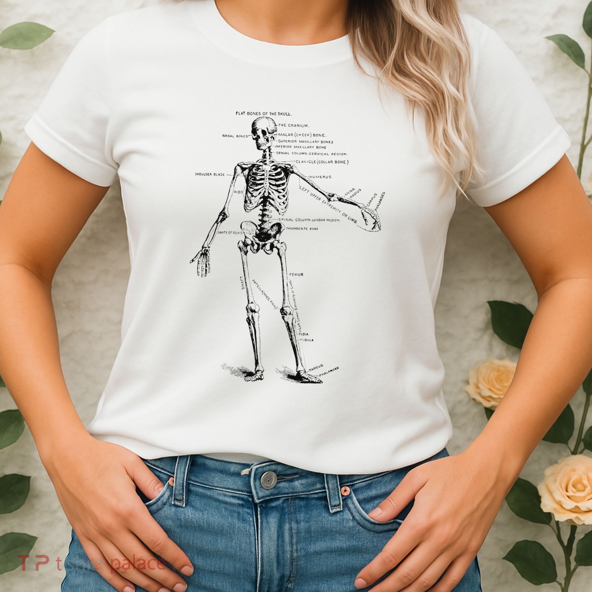 Human Skeleton Anatomy Drawing Diagram Women's T-Shirt