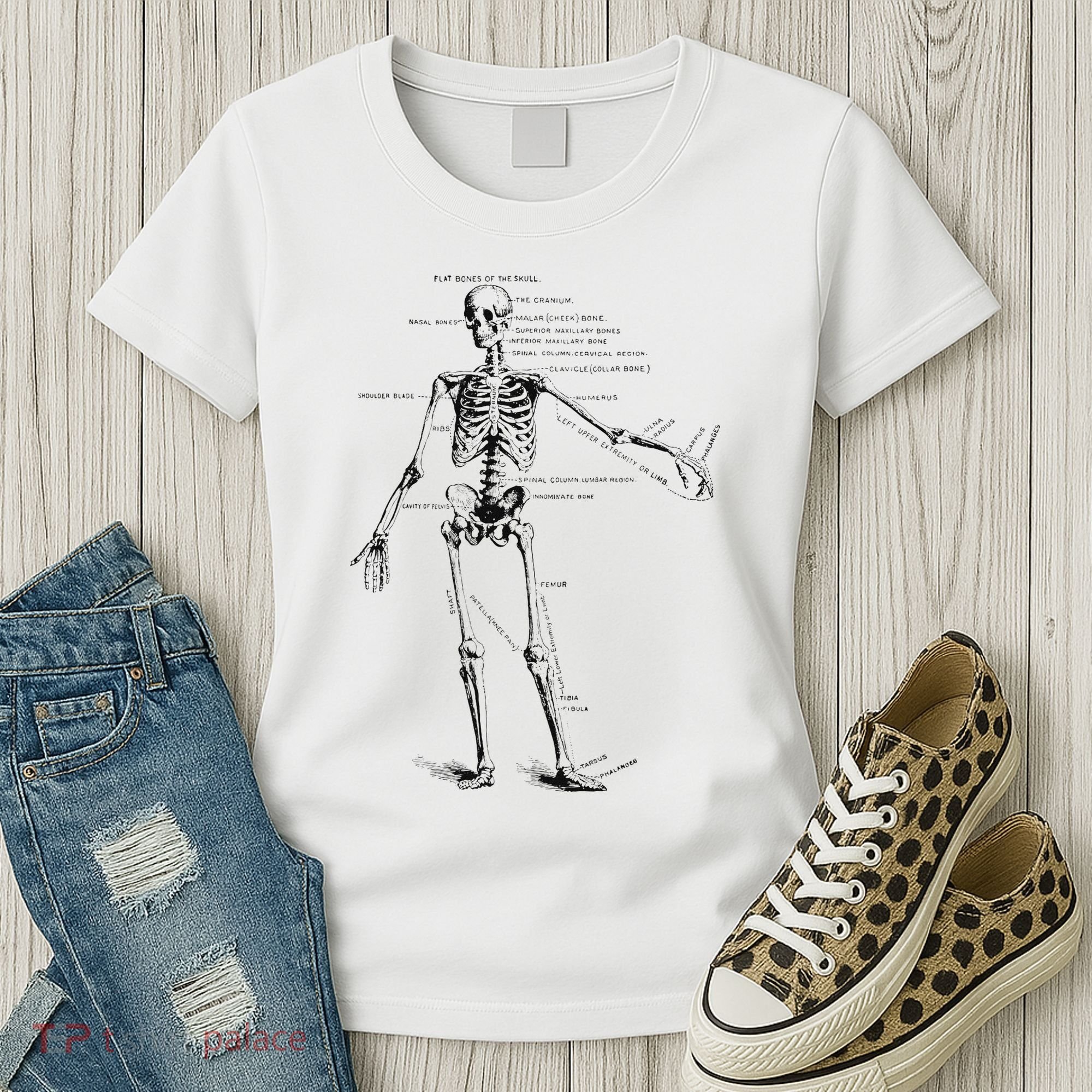 Human Skeleton Anatomy Drawing Diagram Women's T-Shirt