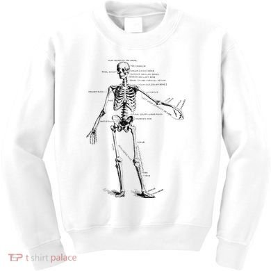 Human Skeleton Anatomy Drawing Diagram Kids Sweatshirt