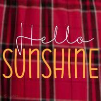 Hello Sunshine Cute Gift Women's Flannel Plaid Pajama Pants thumb 2