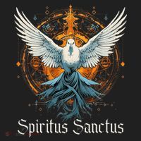 Holy Spirit Confirmation Latin Mass Catholic Tumbler thumb 3