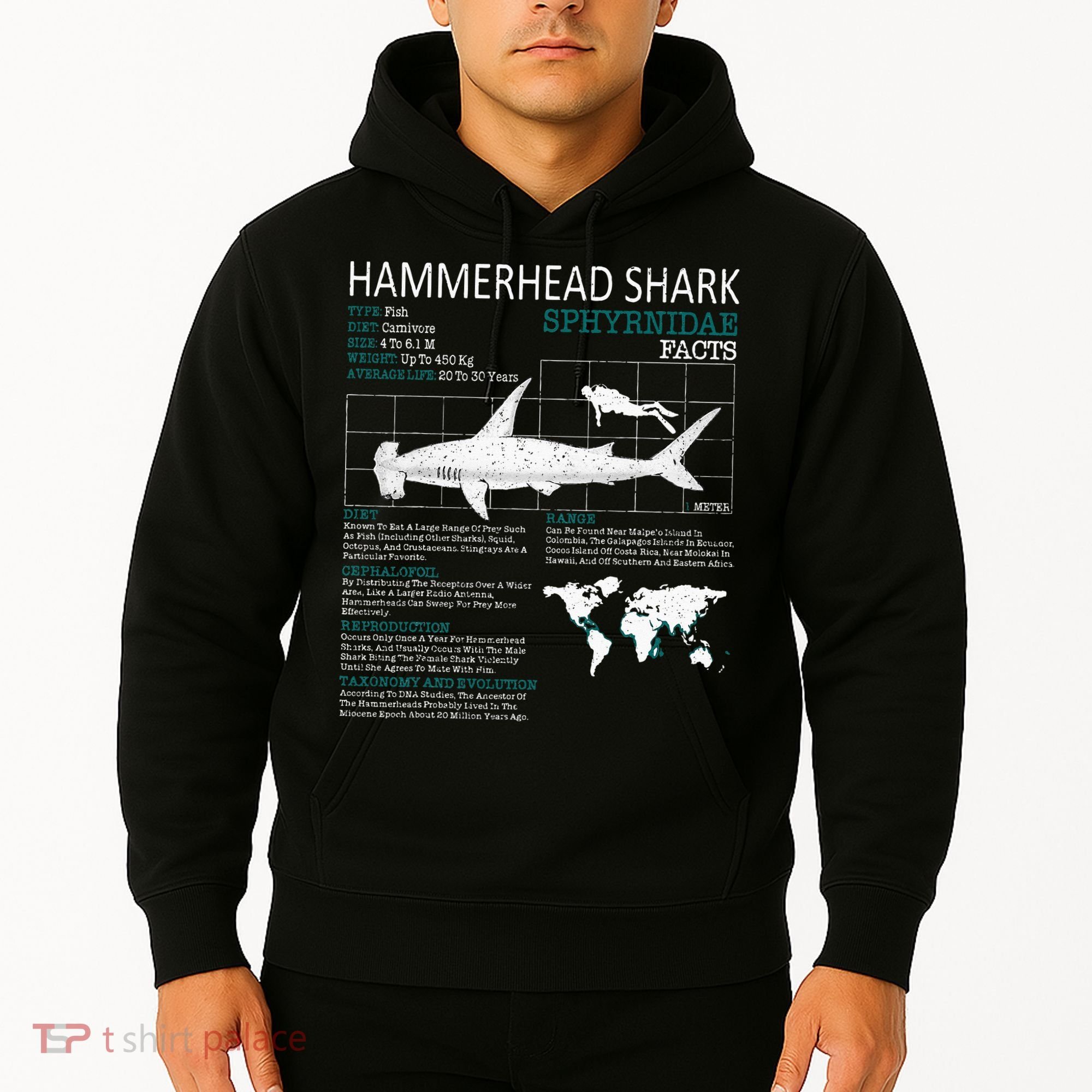Hammerhead Shark Facts Shark Funny Lover Gift Hoodie