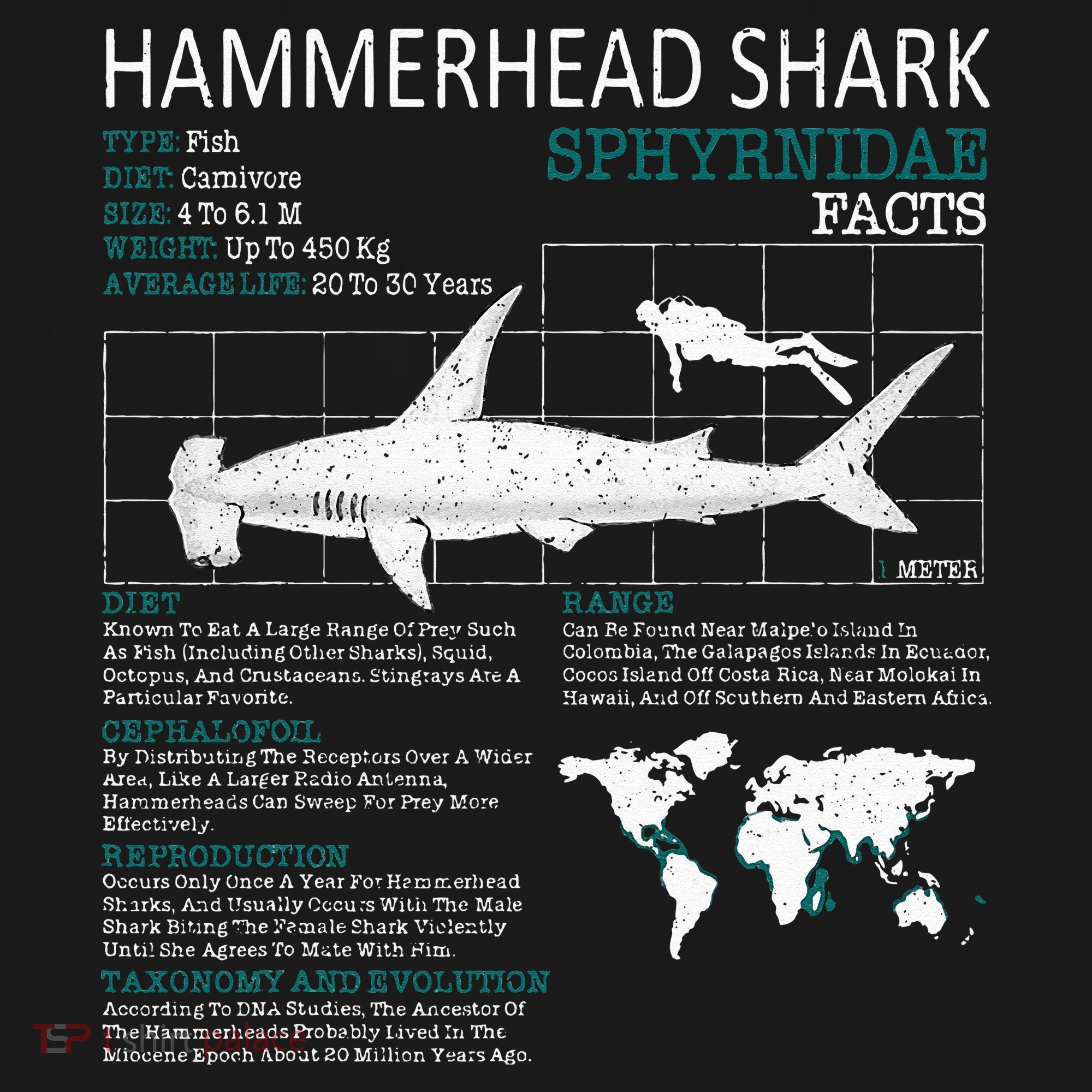 Hammerhead Shark Facts Shark Funny Lover Gift Long Sleeve Shirt