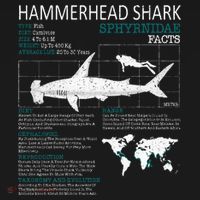 Hammerhead Shark Facts Shark Funny Lover Gift Sweatshirt thumb 3