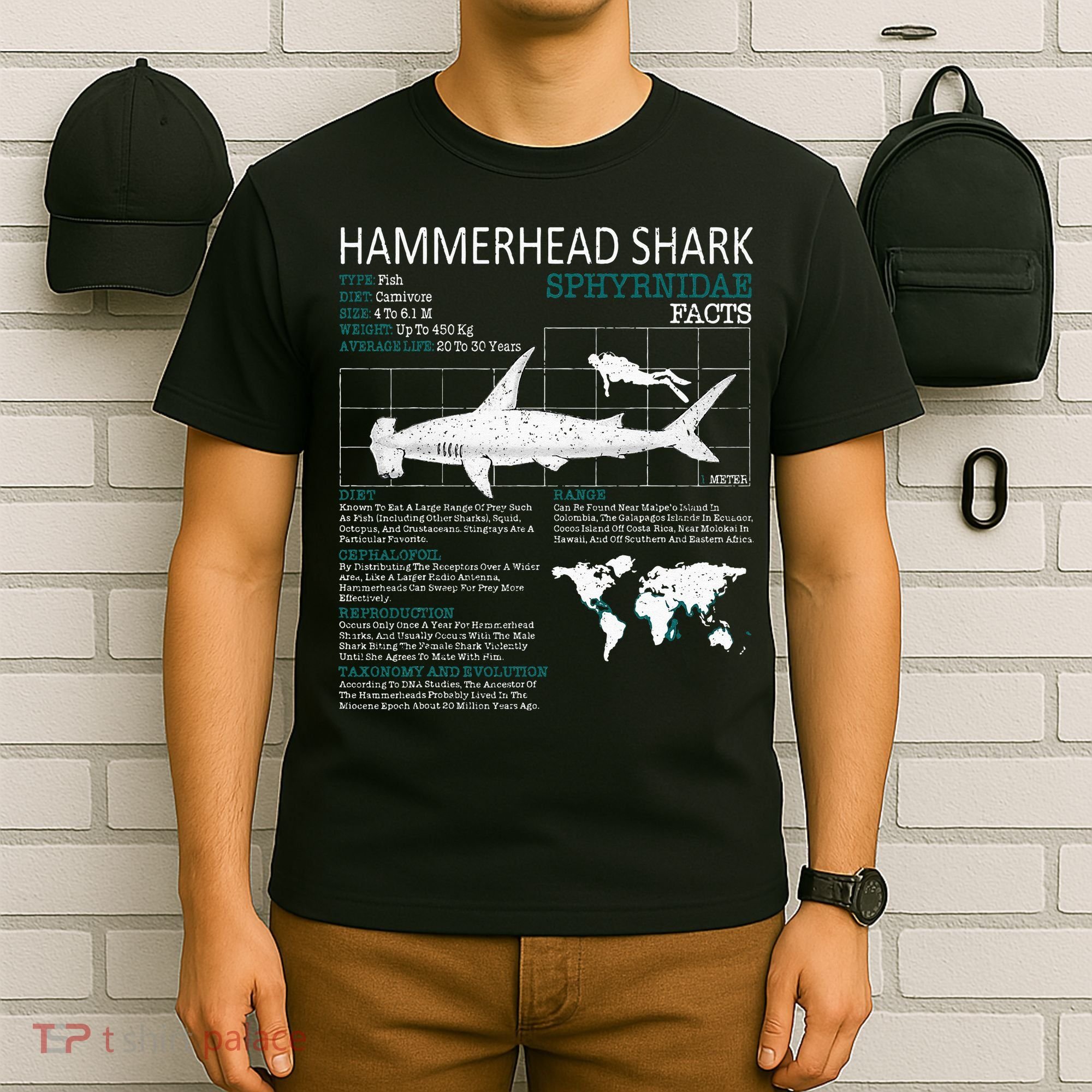 Hammerhead Shark Facts Shark Funny Lover Gift T-Shirt