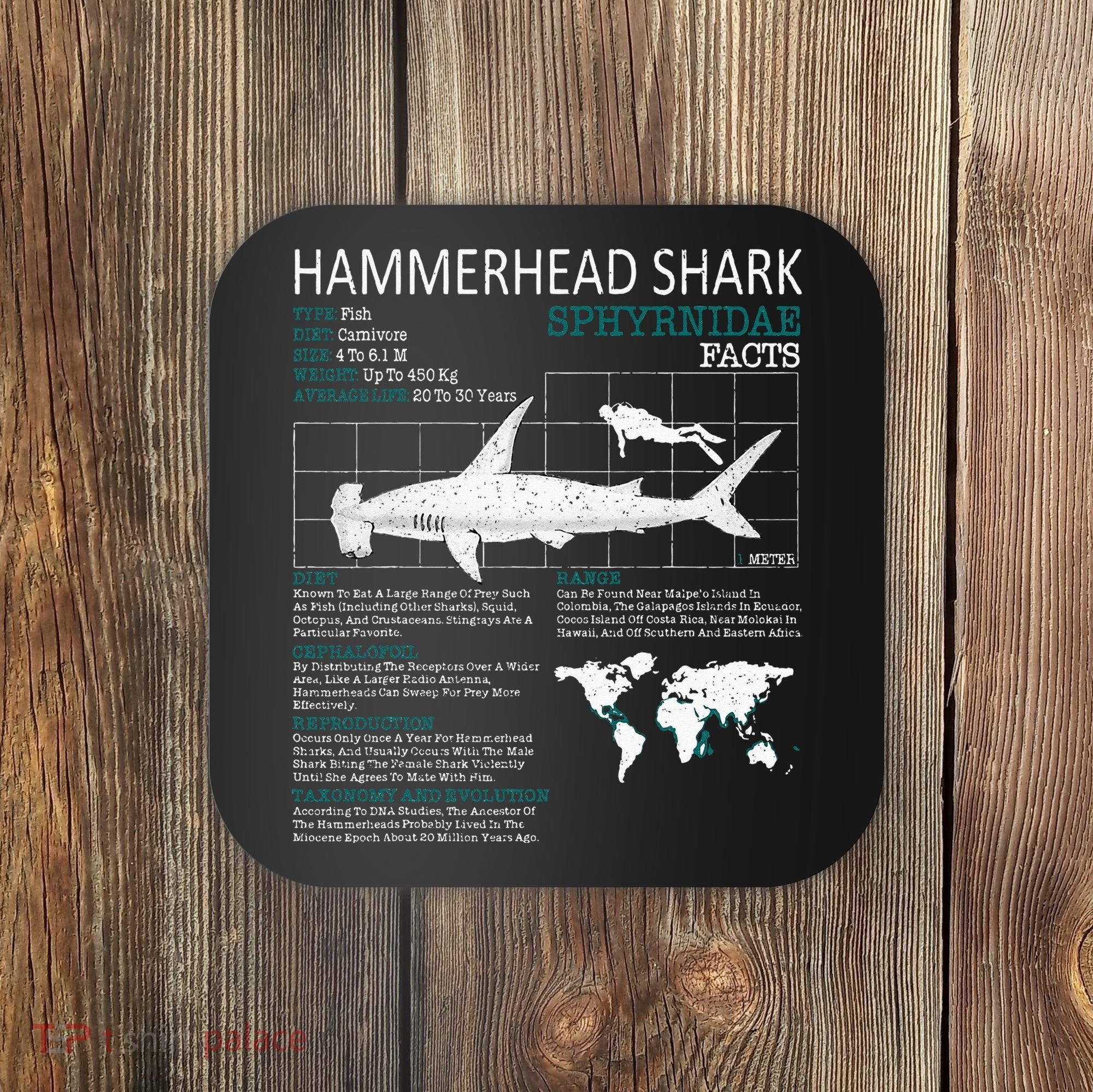 Hammerhead Shark Facts Shark Funny Lover Gift Coaster