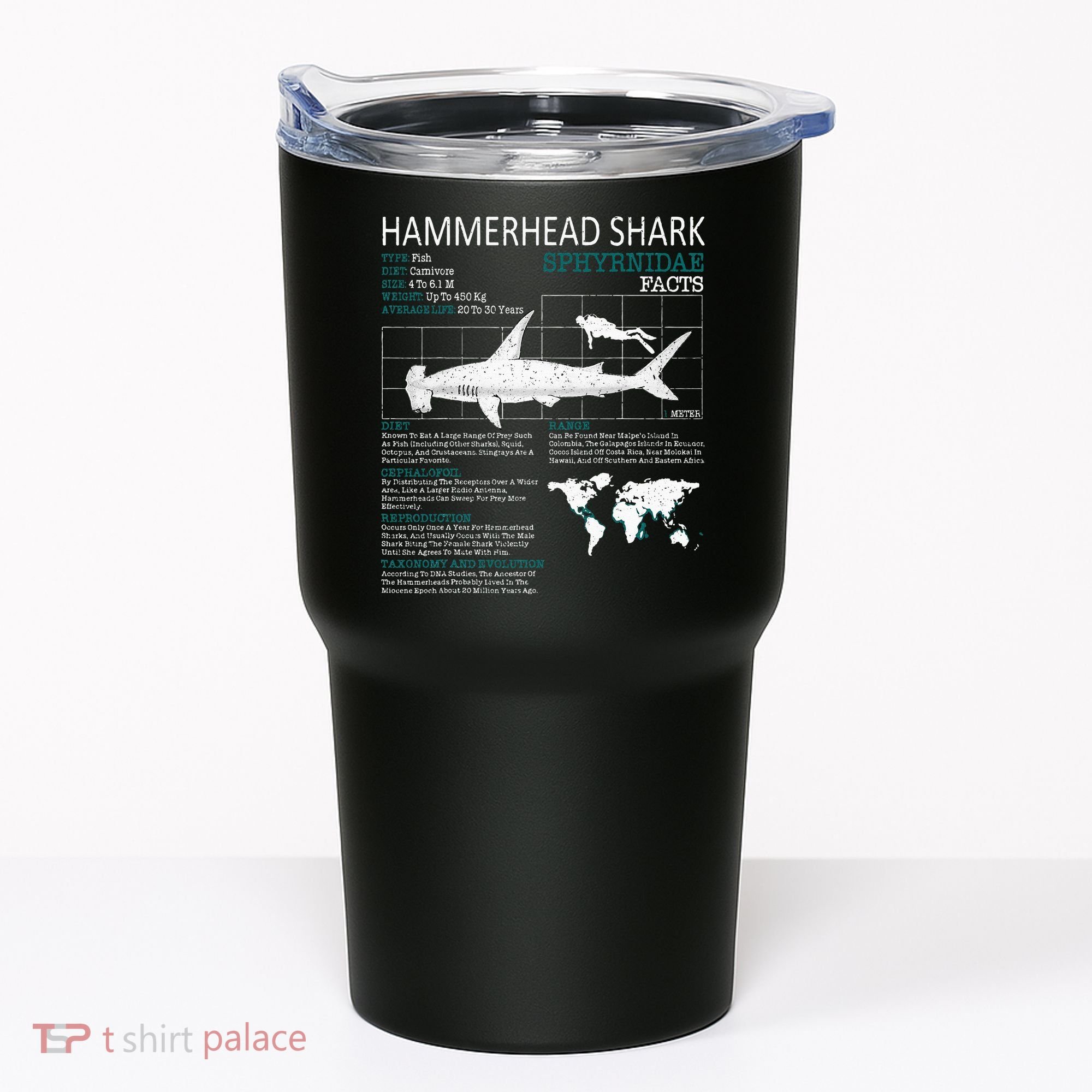Hammerhead Shark Facts Shark Funny Lover Gift Tumbler