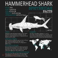 Hammerhead Shark Facts Shark Funny Lover Gift Tumbler thumb 3