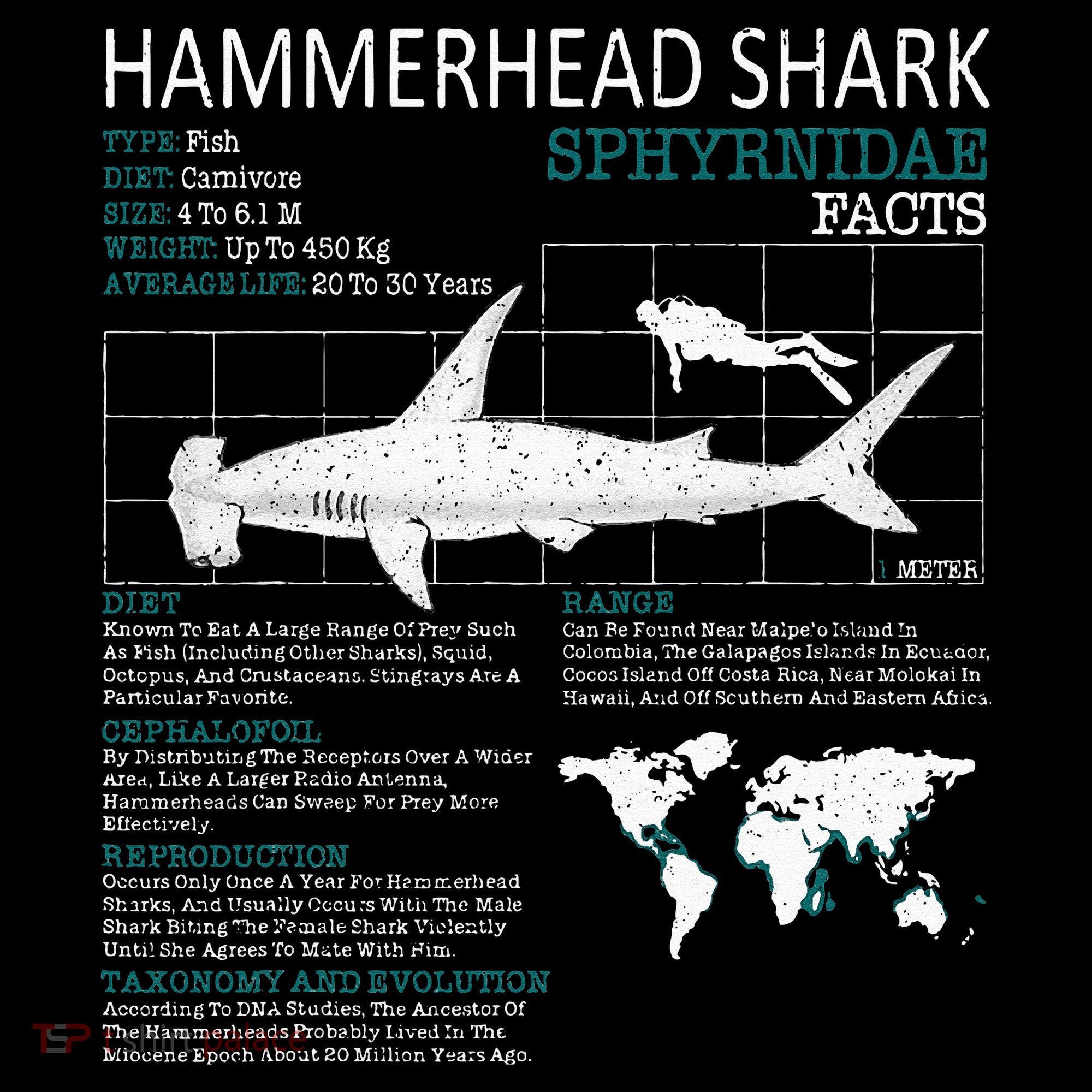 Hammerhead Shark Facts Shark Funny Lover Gift Women's Tank Top