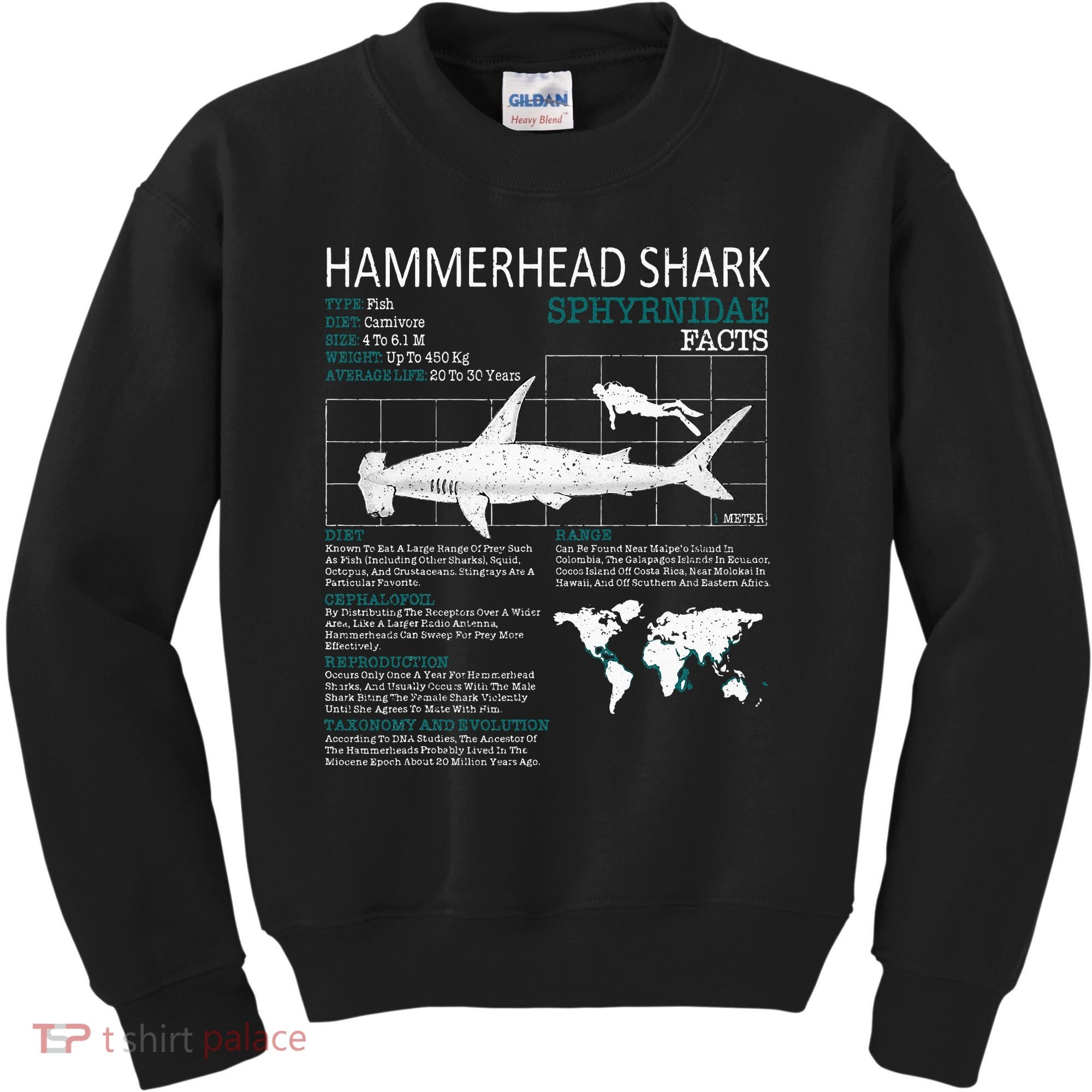 Hammerhead Shark Facts Shark Funny Lover Gift Kids Sweatshirt