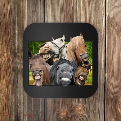 Horses Selfie Funny Coaster