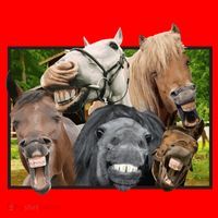 Horses Selfie Funny Santa Hat thumb 1