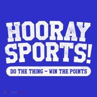 Hooray Sports! Funny Sports Great Gift Hoodie thumb 2