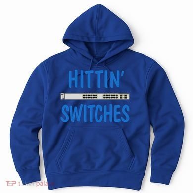 Hitting Switches Funny Network Systems Engineer Gift Hoodie
