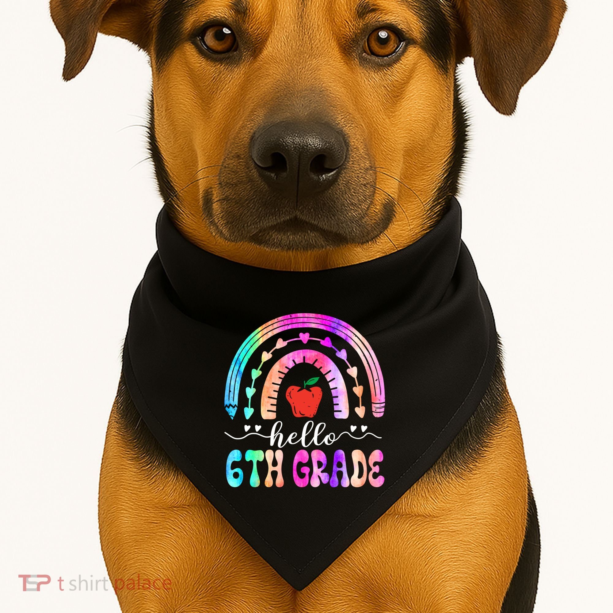 Hello Sixth Grade Back To School 6Th Grade Squad Teacher Great Gift USA-Made Doggie Bandana