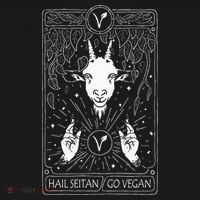 Hail Seitan Go Vegan Bucket Hat thumb 4