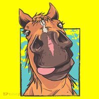 Horse Selfie Women's T-Shirt thumb 6