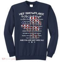 Hey Snowflake In The Real World Veteran Military Sweatshirt thumb 0