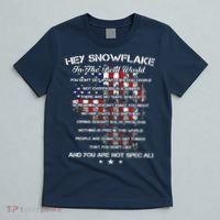 Hey Snowflake In The Real World Veteran Military T-Shirt thumb 5