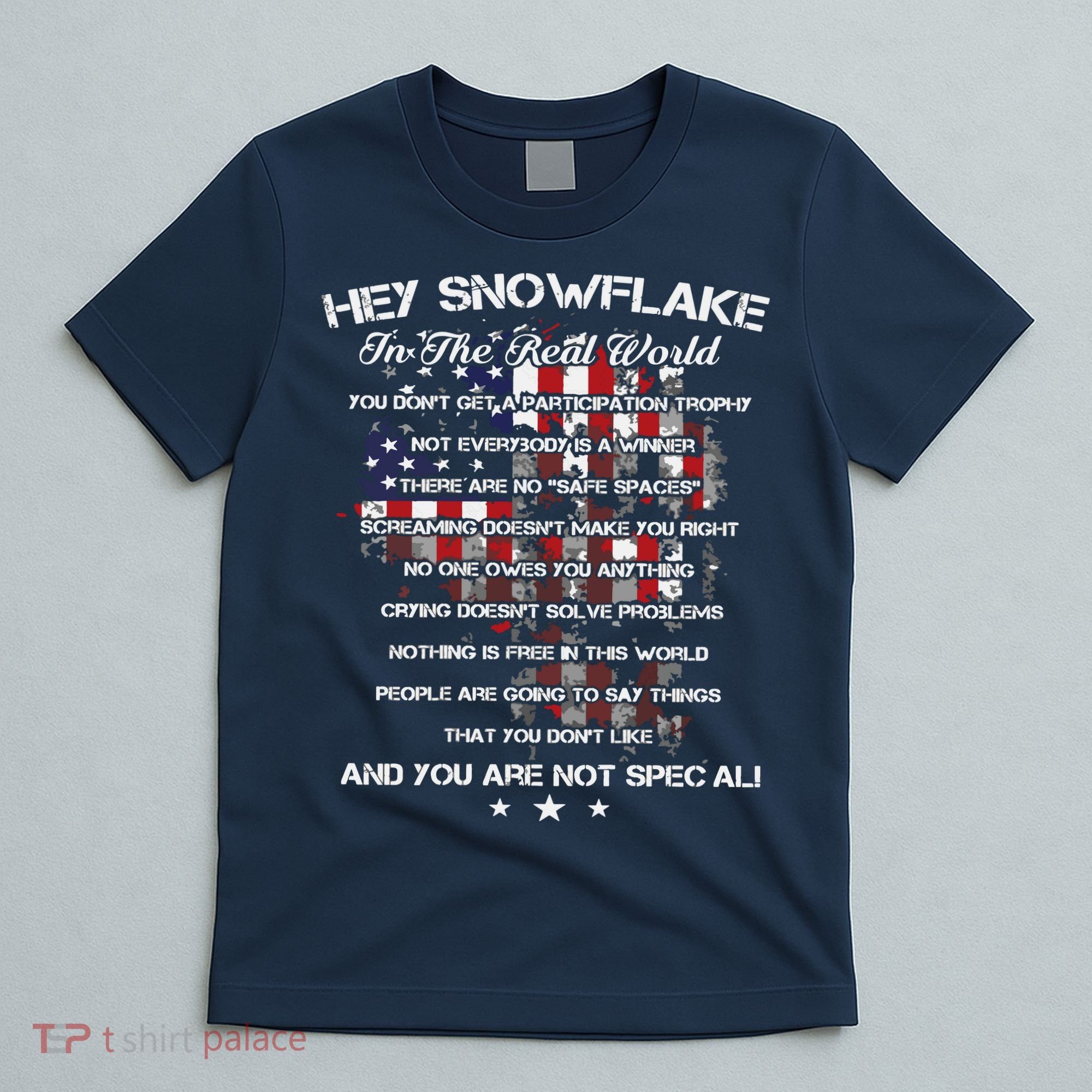 Hey Snowflake In The Real World Veteran Military T-Shirt