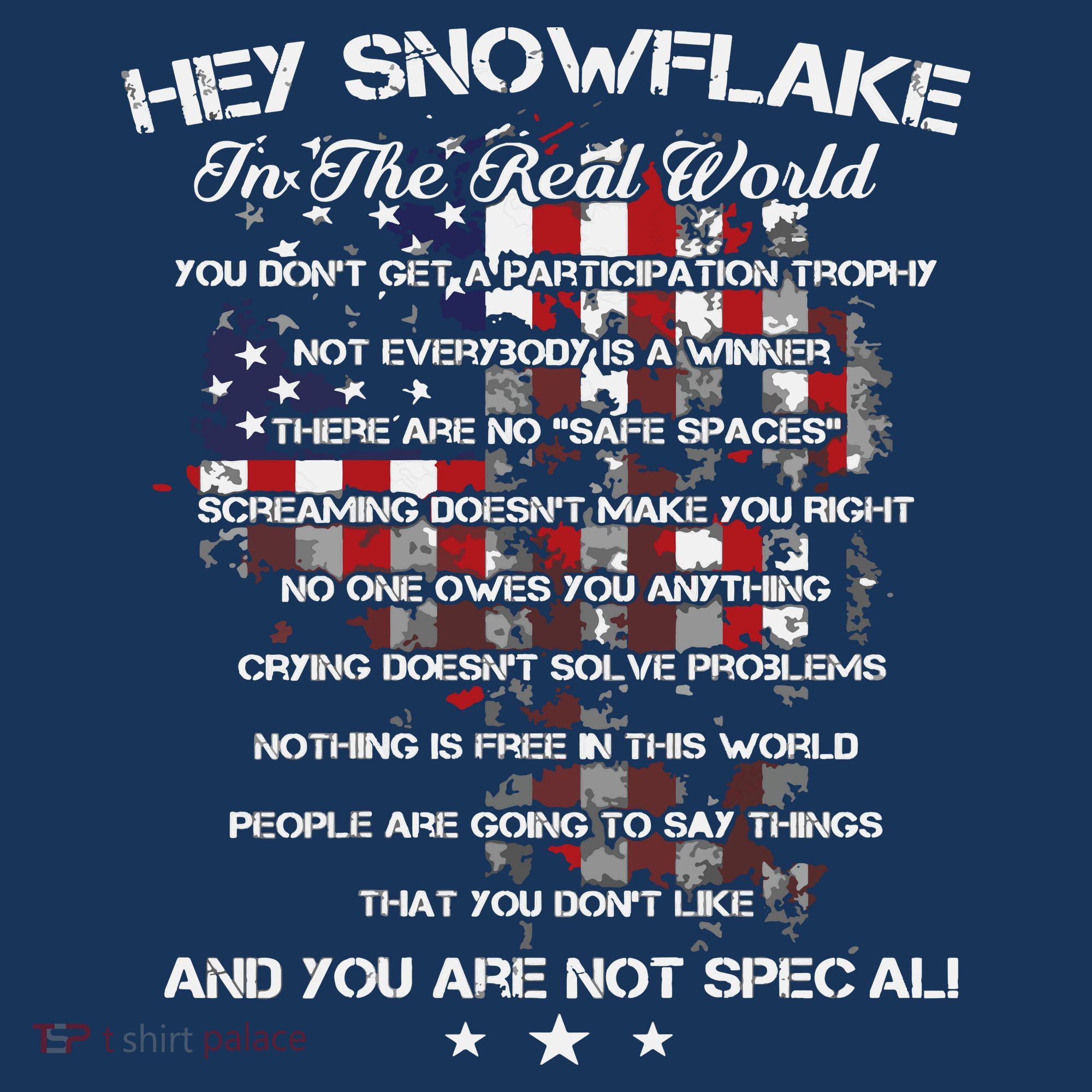 Hey Snowflake In The Real World Veteran Military T-Shirt