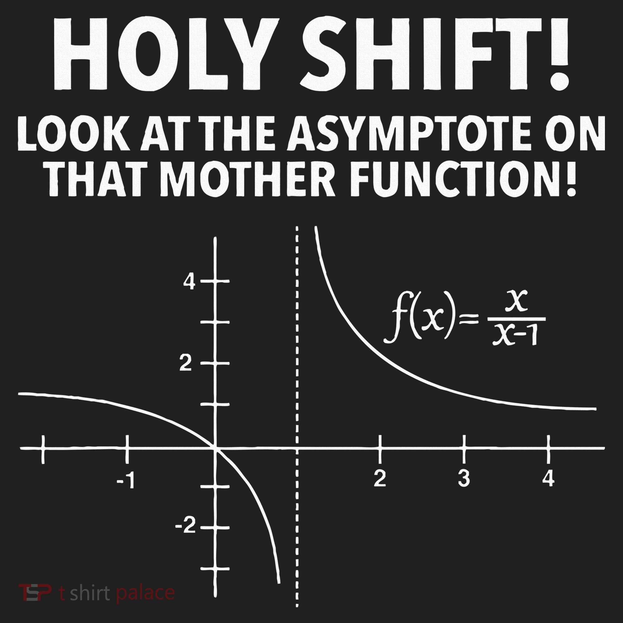 Holy Shift Look At The Asymptote On That Mother Function Women's Sweatshirt