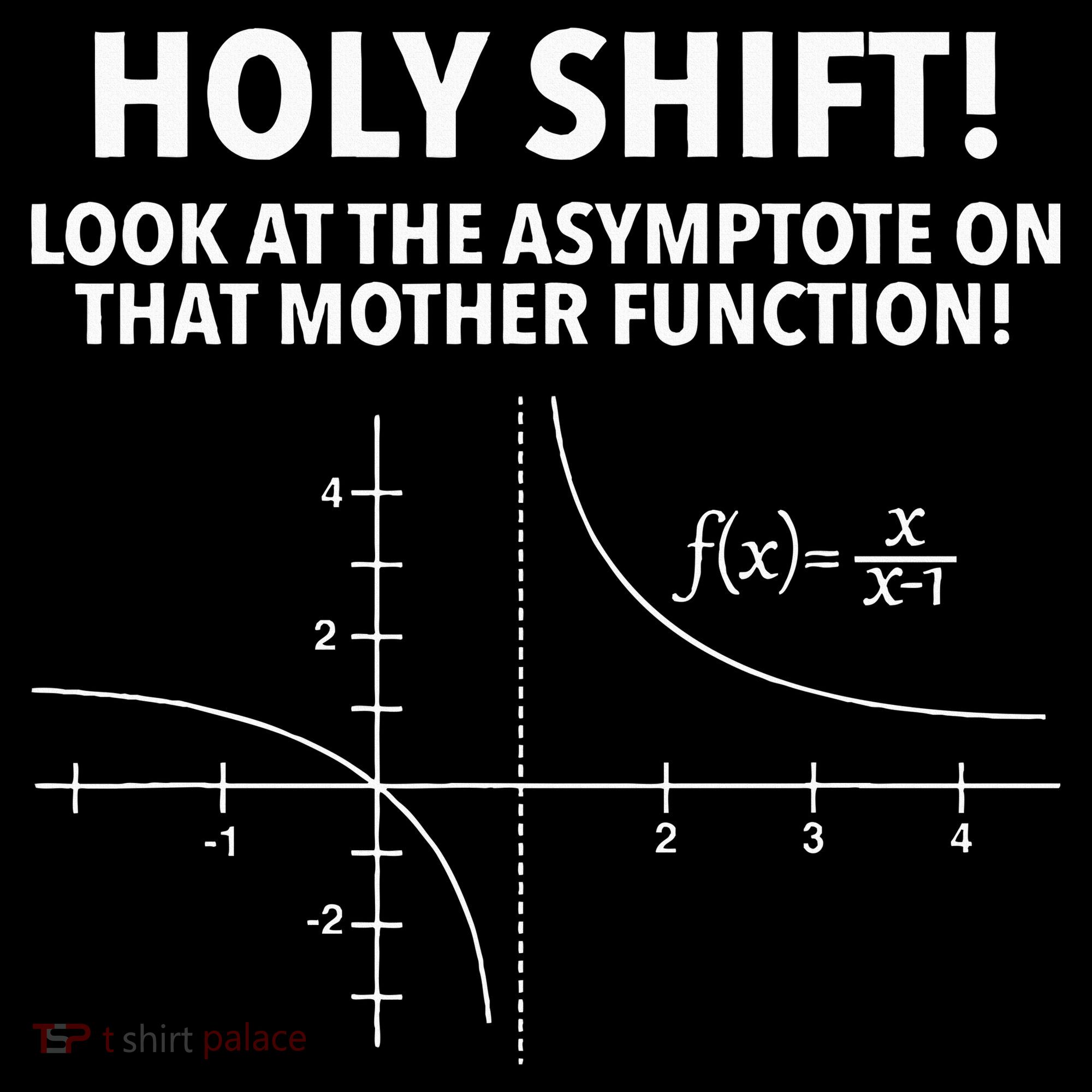 Holy Shift Look At The Asymptote On That Mother Function Hoodie
