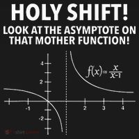Holy Shift Look At The Asymptote On That Mother Function Polo thumb 3