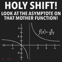 Holy Shift Look At The Asymptote On That Mother Function Hat thumb 2