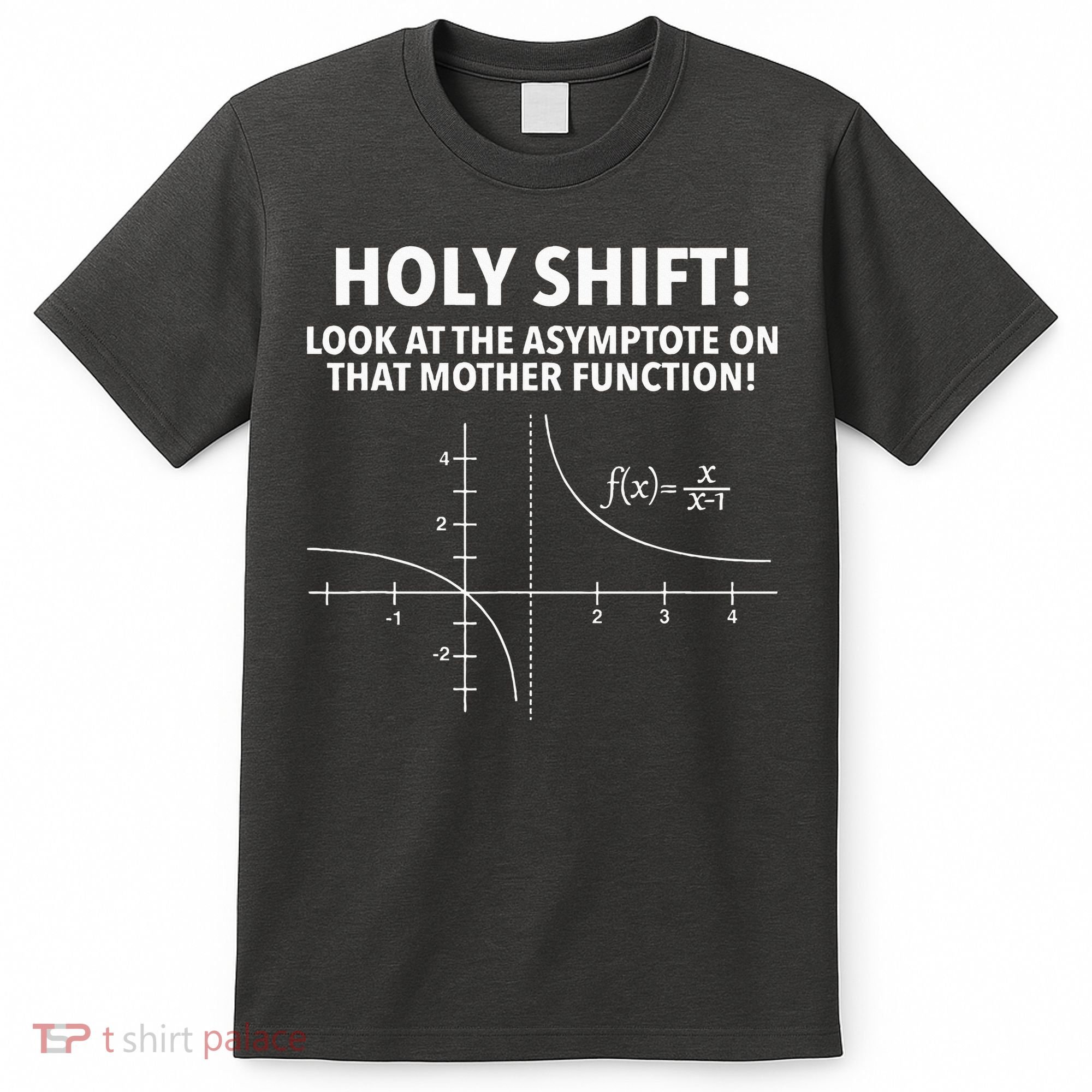 Holy Shift Look At The Asymptote On That Mother Function T-Shirt
