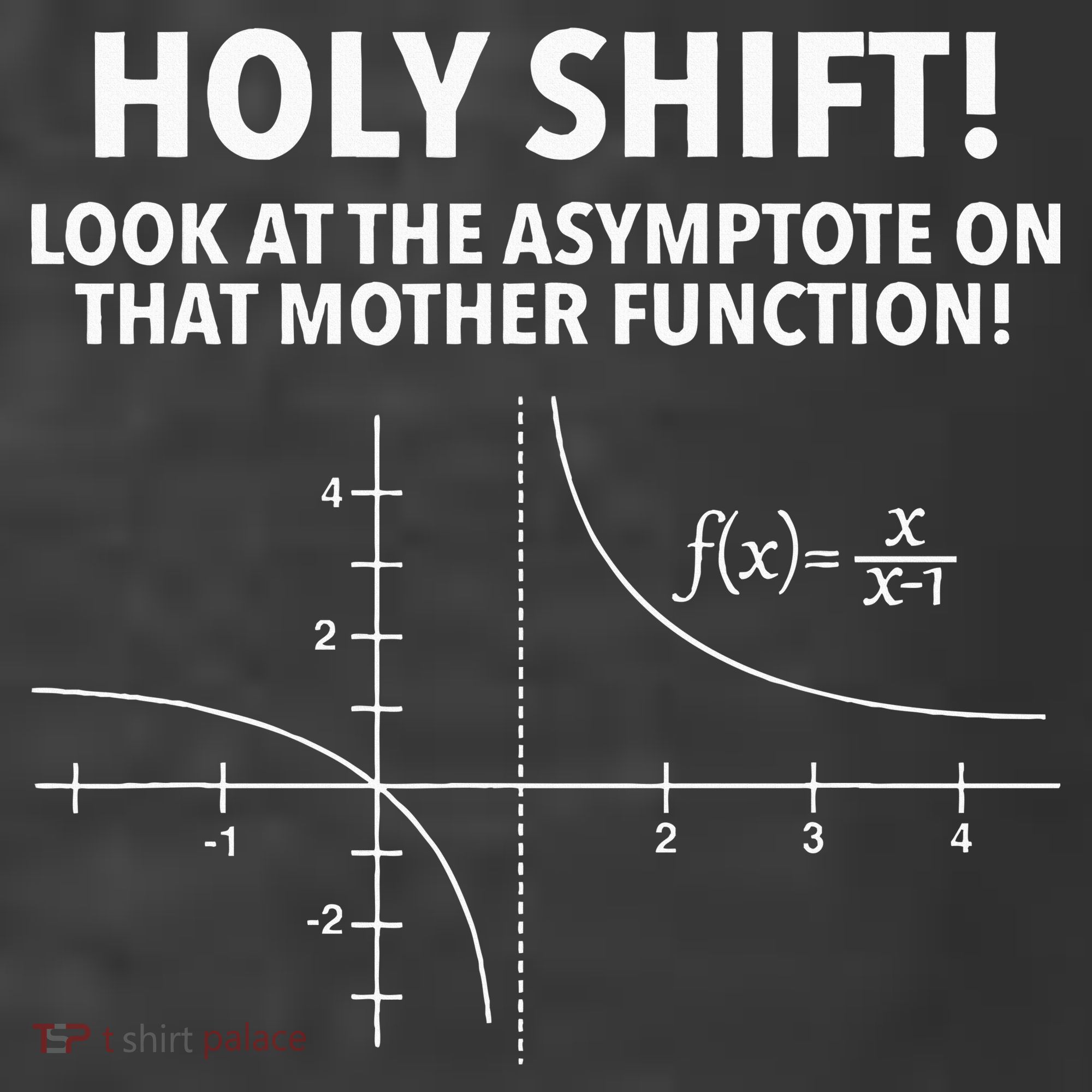 Holy Shift Look At The Asymptote On That Mother Function Women's Hoodie