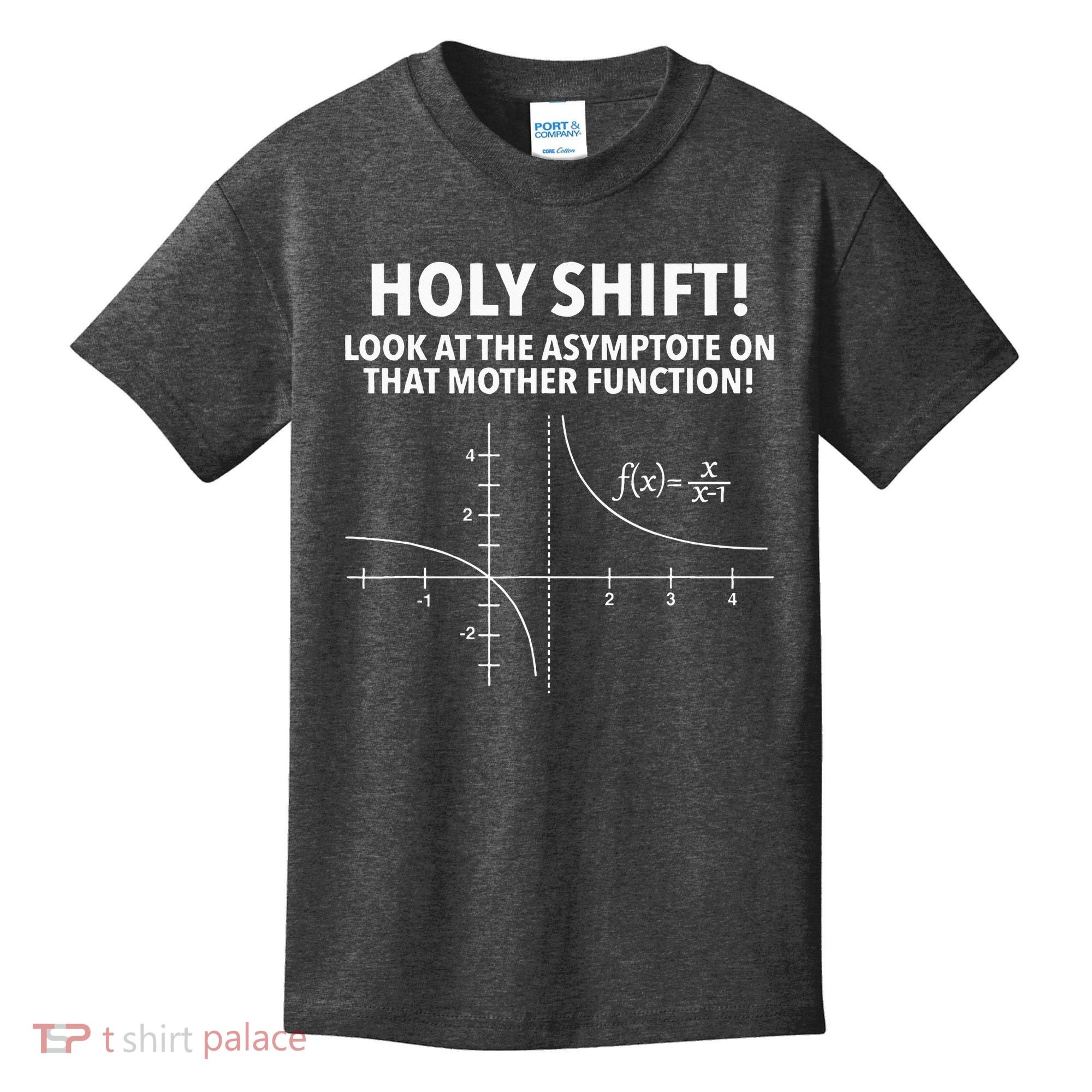 Holy Shift Look At The Asymptote On That Mother Function Kids T-Shirt