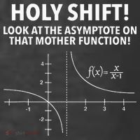 Holy Shift Look At The Asymptote On That Mother Function Kids T-Shirt thumb 4