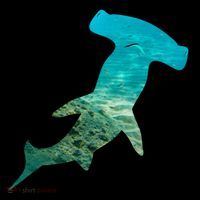 Hammerhead Shark Lovers Silhouette Earth Day And Ocean Week Gift Coffee Mug thumb 5