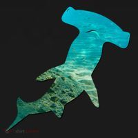 Hammerhead Shark Lovers Silhouette Earth Day And Ocean Week Gift Women's Hoodie thumb 2