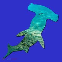 Hammerhead Shark Lovers Silhouette Earth Day And Ocean Week Gift Sweatshirt thumb 3