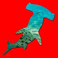 Hammerhead Shark Lovers Silhouette Earth Day And Ocean Week Gift Santa Hat thumb 1