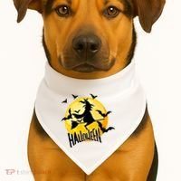 Halloween Spooky Moon Flying Witch USA-Made Doggie Bandana thumb 1